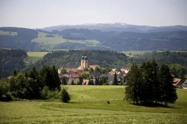 Gaestehaus Wald Und See Titisee-Neustadt Zewnętrze zdjęcie
